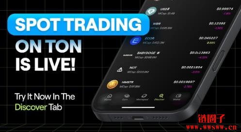 什么是Blum?如何绑定你的TON 钱包以领取Blum币空投