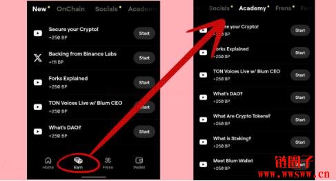 什么是Blum（BLUM币）？如何运作？