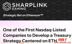 <b>以太币微策略时刻是什么意思?以太币版微策略们有谁?</b> <b>以太币微策略时刻是什么意思?以太币版微策略们有谁?</b>