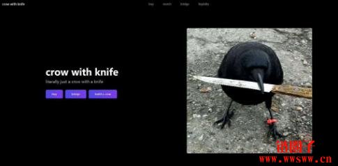 CAW是什么币?如何购买?CAW币是好的投资吗?