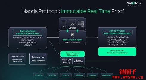 什么是Naoris Protocol?NAORIS代币经济学和工作原理
