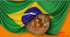 巴西国会讨论设立比特币储备:巴西央行持保留态度 巴西国会讨论设立比特币储备:巴西央行持保留态度