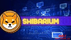 为何投资柴犬币?Shibarium平台是关键 为何投资柴犬币?Shibarium平台是关键