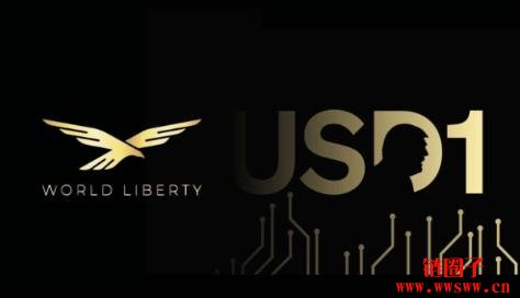 USD1币是什么?如何运作?USD1币未来前景展望