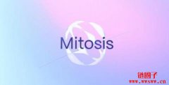 Mitosis(MITO)空投指南:如何免费领取MITO币? Mitosis(MITO)空投指南:如何免费领取MITO币?