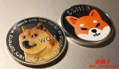 柴犬币为何突然大涨?美联储主席一席话点燃市场 柴犬币为何突然大涨?美联储主席一席话点燃市场