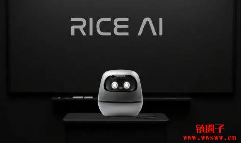 什么是RICE AI?RICE代币经济模型和未来前景