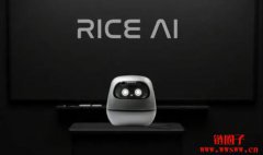 什么是RICE AI?RICE代币经济模型和未来前景 什么是RICE AI?RICE代币经济模型和未来前景
