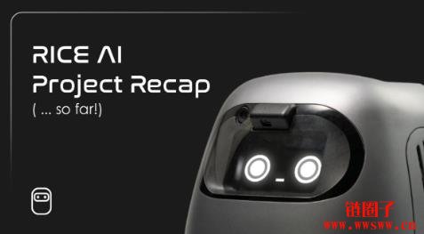 什么是RICE AI?RICE代币经济模型和未来前景