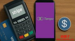 Stripe与Paradigm正式推出Tempo区块链项目,主打稳定币支付 Stripe与Paradigm正式推出Tempo区块链项目,主打稳定币支付