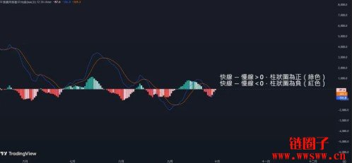 MACD指标怎么看?MACD参数设定到背离交易策略一次搞懂!