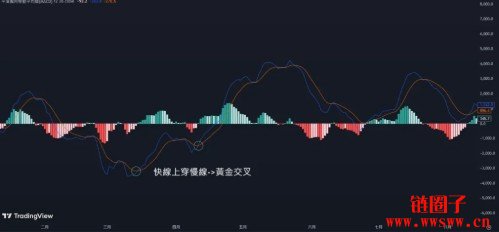 MACD指标怎么看?MACD参数设定到背离交易策略一次搞懂!