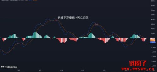 MACD指标怎么看?MACD参数设定到背离交易策略一次搞懂!