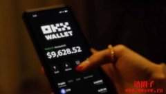 OKB交易所官网详解_OK交易平台APP下载指南 OKB交易所官网详解_OK交易平台APP下载指南