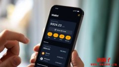 比特币诞生以来有几次闪崩?历史回顾与市场韧性启示 比特币诞生以来有几次闪崩?历史回顾与市场韧性启示