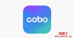 Cobo钱包简介：领先的数字