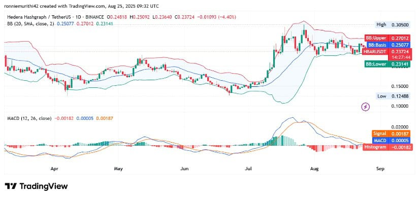 HBAR价格有望突破0.30美元：分析师预测2025年将出现大幅上涨
