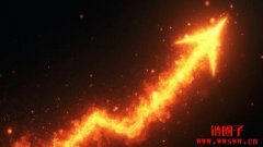 年初迄今已上涨30%！Bloo