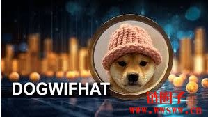 WIF币未来会涨到40元吗？WIF币未来前景分析