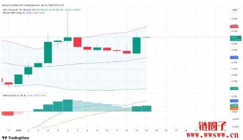 WIF币未来会涨到40元吗？WIF币未来前景分析