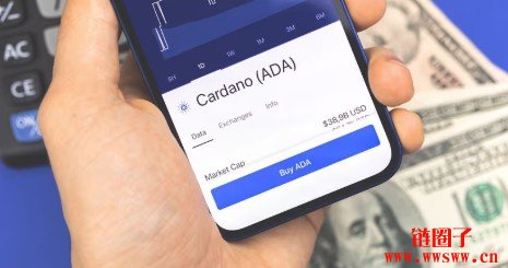 Cardano巨鲸钱包一个月增幅5.92%，或预示潜在上涨行情