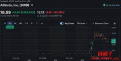 连亏五年制鞋厂转型AI算力公司？Allbirds股价单日暴涨582%