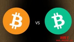 比特币 vs 比特币现金：