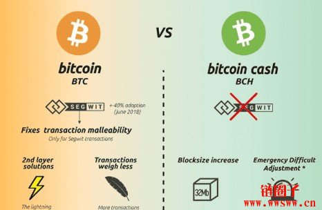 比特币 vs 比特币现金：2026年全面对比指南