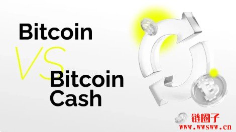 比特币 vs 比特币现金：2026年全面对比指南