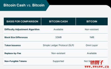 比特币的小兄弟：什么是比特币现金（Bitcoin Cash）？