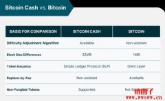 比特币的小兄弟:什么是比特币现金(Bitcoin Cash)? 比特币的小兄弟:什么是比特币现金(Bitcoin Cash)?