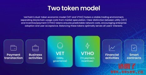 2026-2050年VeChain（VET币）价格预测：能否达到1美元？