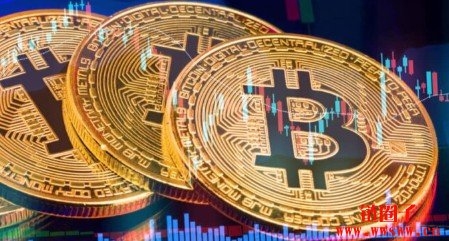 摆脱20%暴跌阴霾！比特币长期持有者重返囤币模式