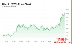 比特币突破10万美元是泡沫,还是实至名归? 比特币突破10万美元是泡沫,还是实至名归?
