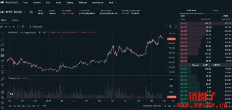什么是Hyperliquid和HYPE币?HYPE代币有何用途?