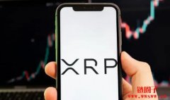 RippleX称AI代理已在XRP账本上完成1300万笔支付 RippleX称AI代理已在XRP账本上完成1300万笔支付